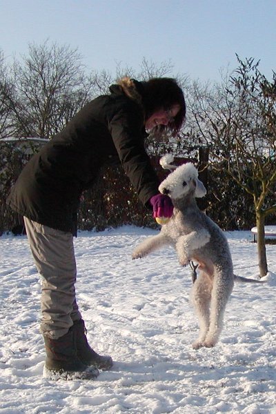 2009-12-19 Quincy (5).JPG